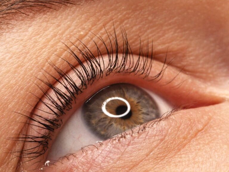 Eyelashes after a professional eyelash lift treatment